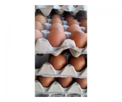 30 EXTRA LARGE EGGS ONLY R44 CALL VEFA WHOLESALERS NOW