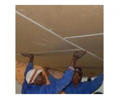 Ceiling and Roof Boy"s