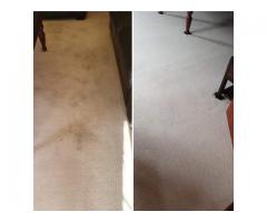 Steam Cleaning Services