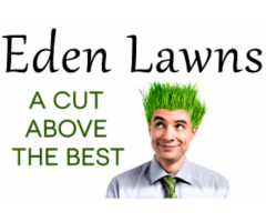 Natural Instant Lawn | Mostly Indigenous Options