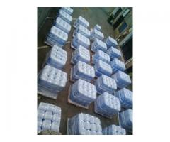 Disinfectant and hand sanitizer