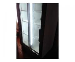 Display Fridge Staycold Double Door