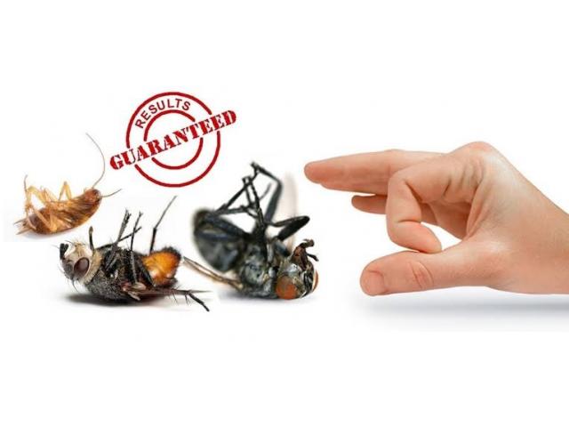 Certified Pest Control, Fumigation and Sanitizing Services ...