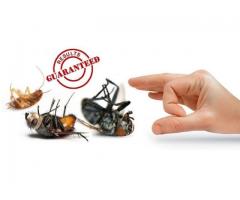 Certified Pest Control, Fumigation and Sanitizing Services available in all areas of Western Cape