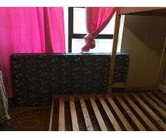 Loft Bed, Single Bed, One Mattress