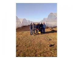 Farm Greenhouses