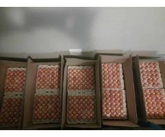 Eggs xl fresh available