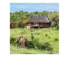 The Royal Madikwe South Africa