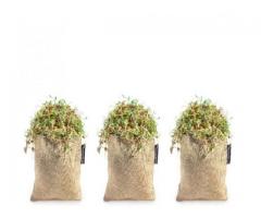 Lucrative Health/Wellness business for sale