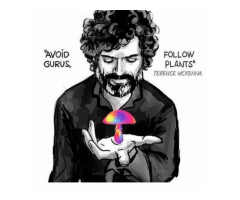 Mushroom Microdosing, Cognition/ Mood Enhancer, Natural Antidepressant.