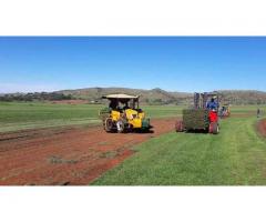 Landscaping and Garden Services