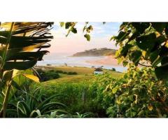 Work While On Vacation at Freedom O Clock Retreat - Mdumbi River Mouth, Wild Coast