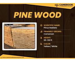 Pine Wood Sawn Timber