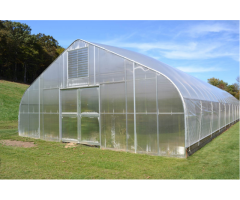 Affordable Greenhouse Tunnel For Sale