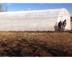 Affordable Greenhouse Tunnel For Sale