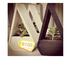 Garden plant boxes with free plant!!!