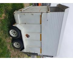 Wolf 3 Berth Horsebox