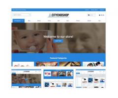 Ecommerce Store for Sale