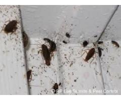 Bugs n Roaches Fumigators