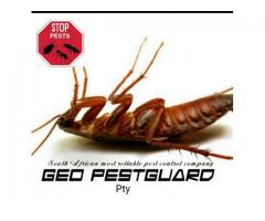 Extermination for cockroaches, ants and more