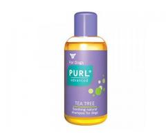 Natural Tea Tree Shampoo for Dogs Below R100!!