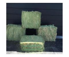 Hay Bales For Sale