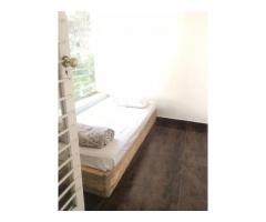 Affordable  Accommodation Rosebank