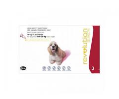 Saving with Us | 10% Off for Revolution Large Dog