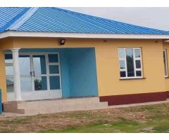 Painter, House painting