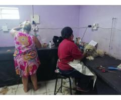 Pet Shop with Doggy Parlour for sale