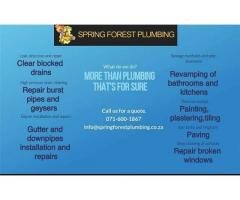 Plumbing, Maintenance or handyman services