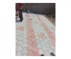 Paving experts