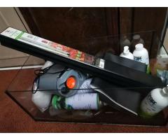 Planted aquarium, fish tank