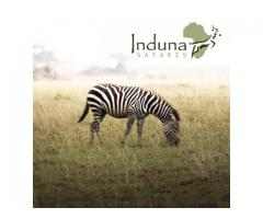 Induna Safaris