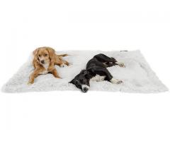 DOG and CAT BEDS, BLANKETS and TOYS
