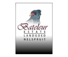 Bateleur Estate