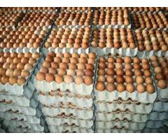 TABLE EGG White and Brown Eggs