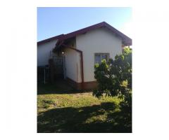 Bachelor Pad for rent