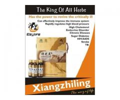 Xiangzhiling for sale