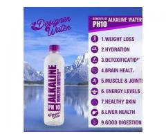 Designer Water Alkaline PH10
