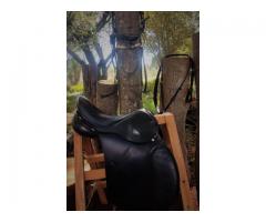 Saddle and Bridle for Sale