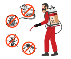 Pest Control in Eastrand | Fumigation in Eastrand