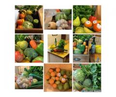 FRESH FRUIT AND VEG SUPPLIERS