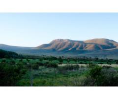 Stockdale Eastern Cape - Holidays