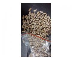 Red sparkle sugar beans and more in south africa