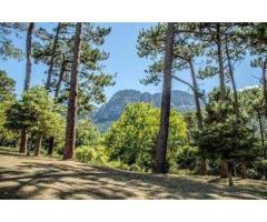 Bishops Court Home for Sale