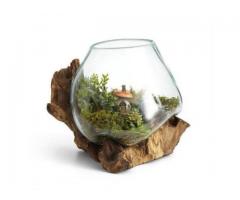 Fish tank business opportunity