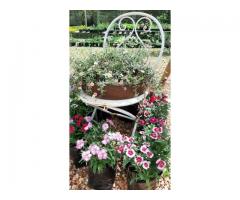 Drostdy Nursery and Teagarden Swellendam