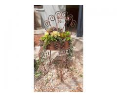 Drostdy Nursery and Teagarden Swellendam