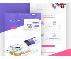 WordPress Designer and Developer